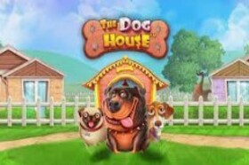 Spela Dog House Megaways