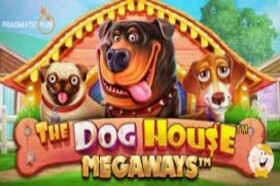 Khe cắm The Dog House Megaways